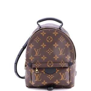 Louis Vuitton Palm Springs Backpack #203991L22B